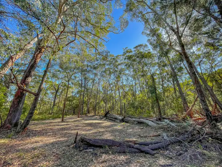 Main view of Homely land listing, 5 Kennedy Ave, Russell Island QLD 4184