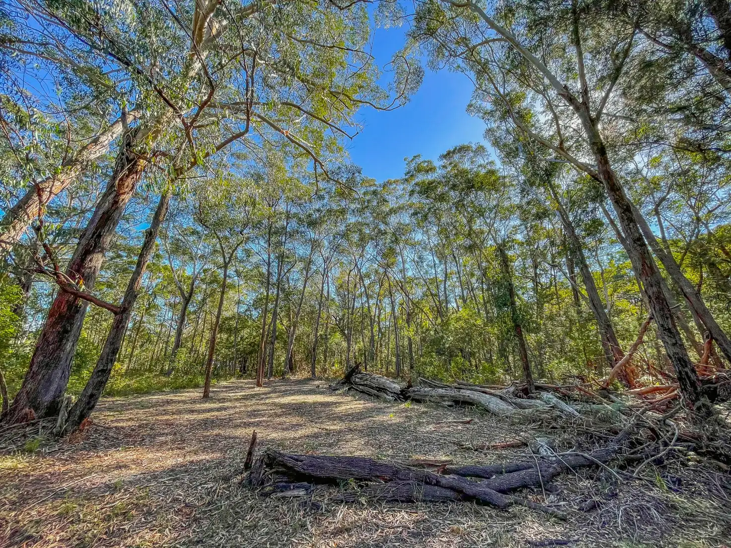 Main view of Homely land listing, 5 Kennedy Ave, Russell Island QLD 4184