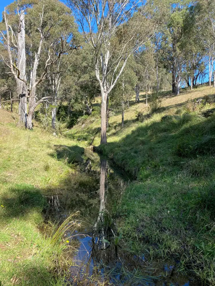 Sixth view of Homely land listing, Lot 1682/169 Cochranes Road, Wolumla NSW 2550