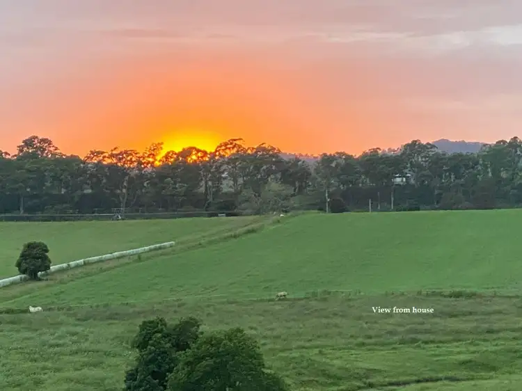 Second view of Homely rural property listing, 598 Gloucester Road, Killawarra NSW 2429