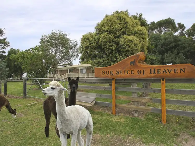Fourth view of Homely rural property listing, 575A Great Alpine Road, Sarsfield VIC 3875