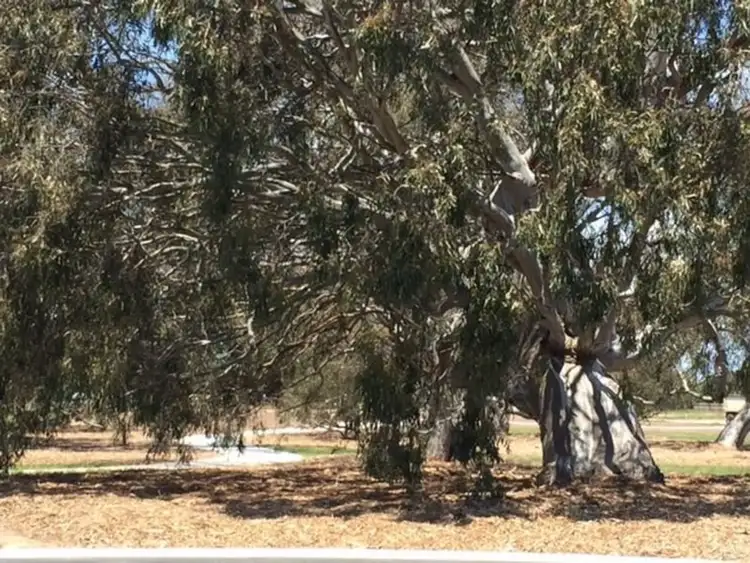 Fourth view of Homely land listing, Lot 174/22 Homestead Close, Sale VIC 3850