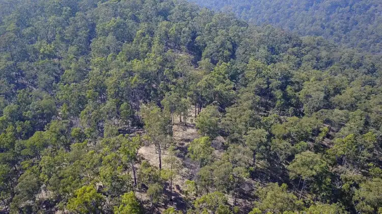 Fifth view of Homely land listing, 3418 Clarence Way, Upper Copmanhurst NSW 2460