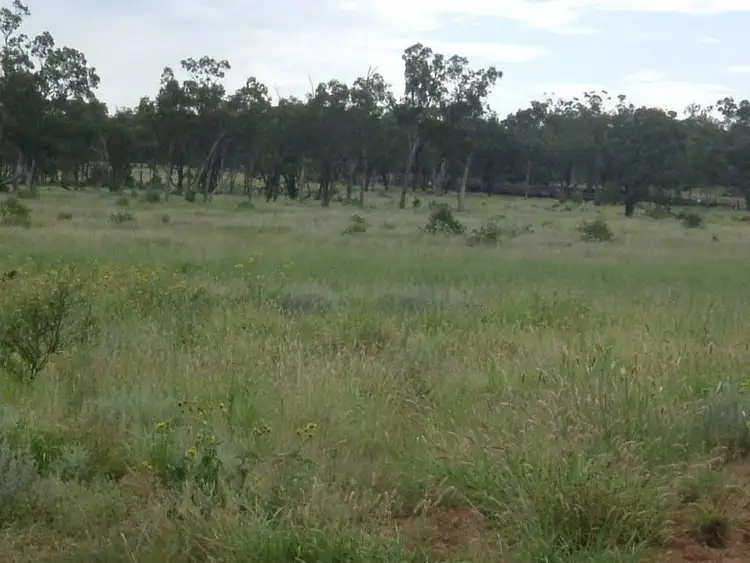 Sixth view of Homely rural property listing, 8076 Bollon Road, Mitchell QLD 4465