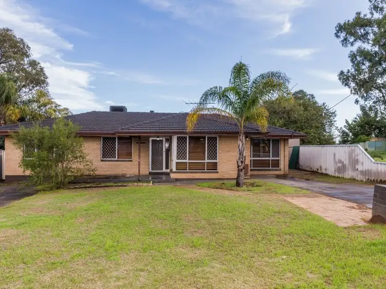 Main view of Homely house listing, 11 Pudney Place, Orelia WA 6167
