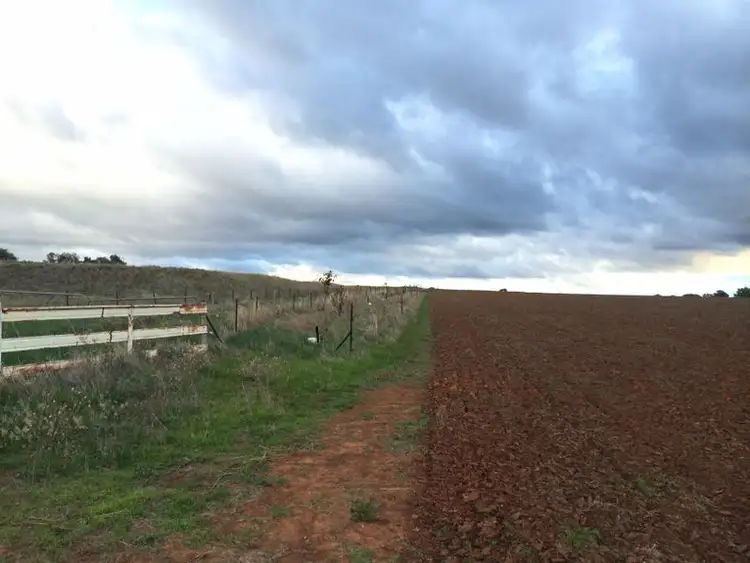 Second view of Homely rural property listing, 126 Kangaroo Flat Road, Cowra NSW 2794