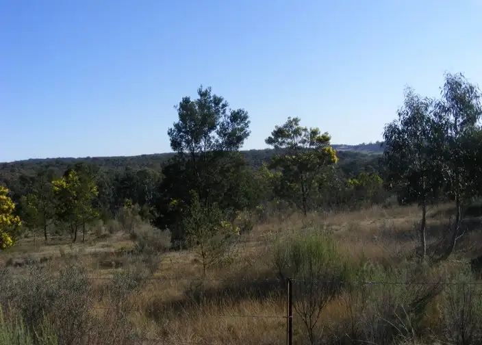Third view of Homely rural property listing, 170 Red Hills Road, Marulan NSW 2579