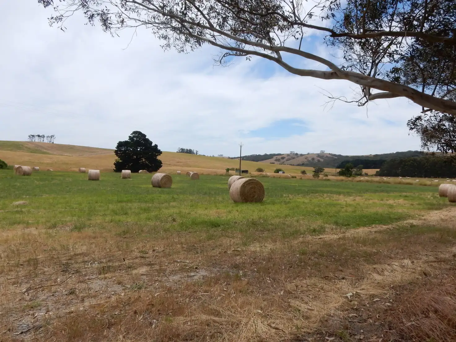Main view of Homely land listing, 501 Springmount Rd, Hindmarsh Tiers SA 5202