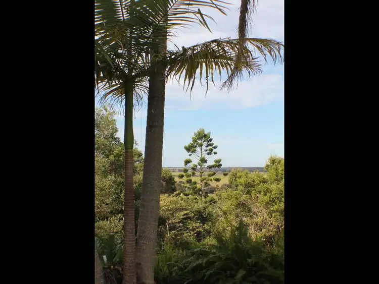 Fifth view of Homely rural property listing, 127 Whytes Lane, Pimlico NSW 2478