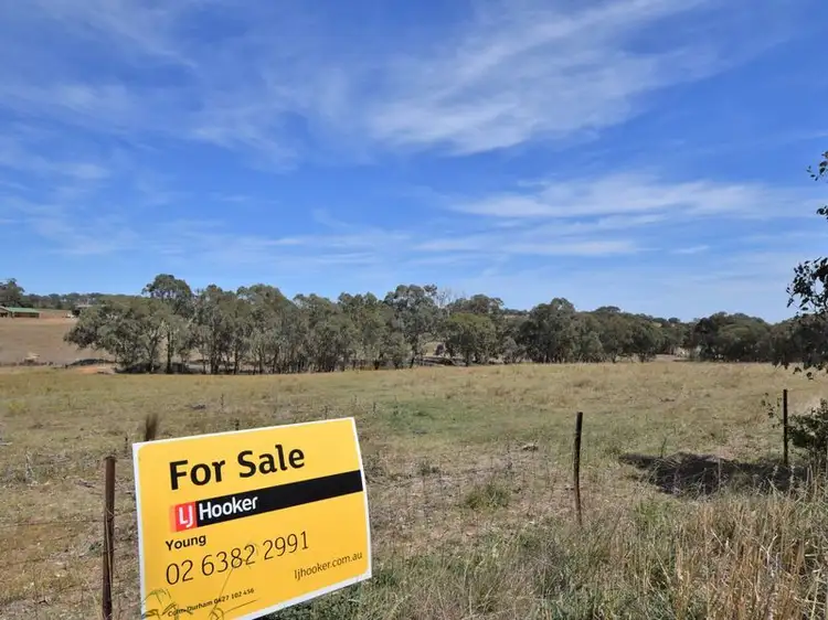 Fifth view of Homely land listing, 21 Kellys Road, Young NSW 2594