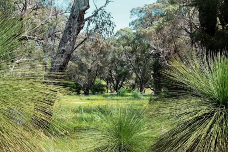 Fourth view of Homely land listing, Lot 58/ Cinnamon Meander, Two Rocks WA 6037