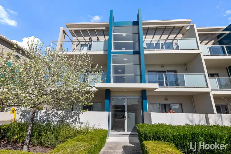 61/311 Flemington Road, Franklin ACT 2913