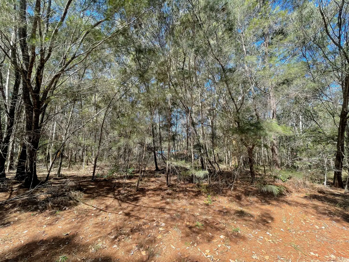 Main view of Homely land listing, 5 Frangipanni St, Russell Island QLD 4184