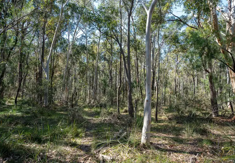 Sixth view of Homely land listing, Lot 2 Bendeela Road, Kangaroo Valley NSW 2577