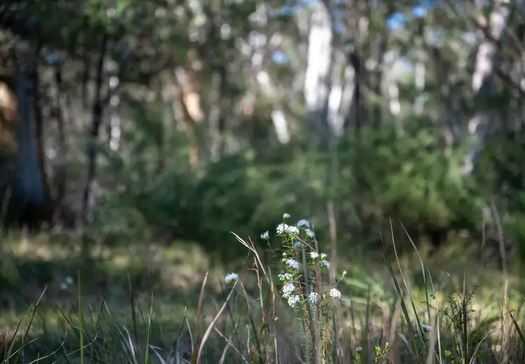 Seventh view of Homely land listing, Lot 2 Bendeela Road, Kangaroo Valley NSW 2577