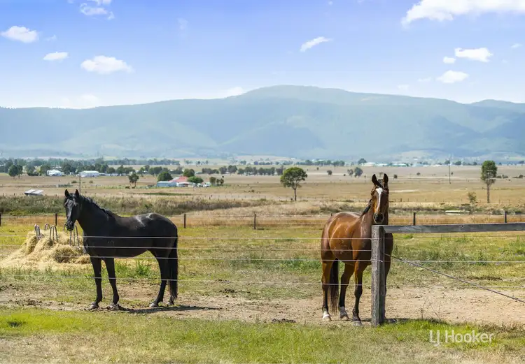 Sixth view of Homely rural property listing, 489 Mount Beppo Road, Cressbrook QLD 4313