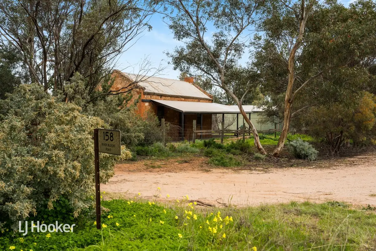 Main view of Homely rural property listing, 158 River Blocks Road, Yacka SA 5470