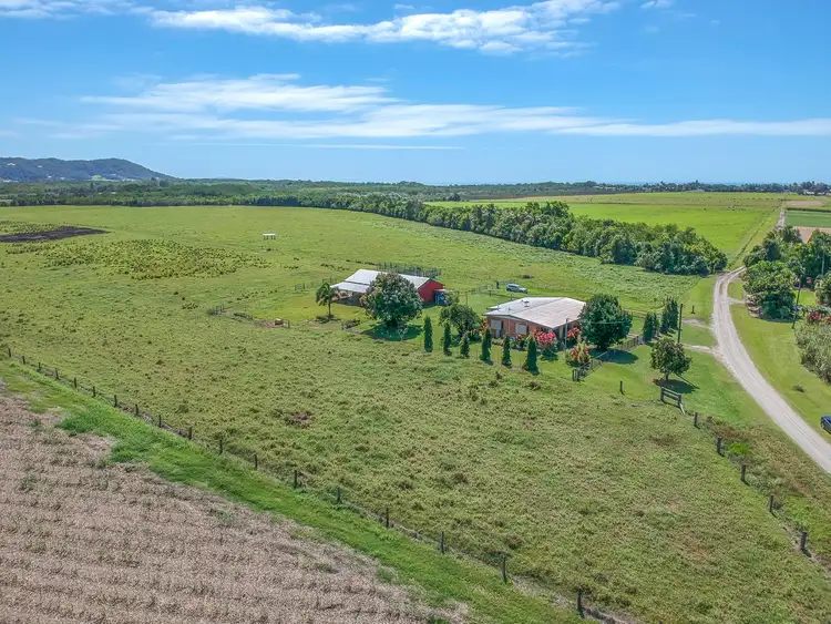Sixth view of Homely rural property listing, 81 Bells Road, Newell QLD 4873