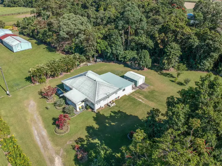 Second view of Homely house listing, 127 Miallo Road, Miallo QLD 4873