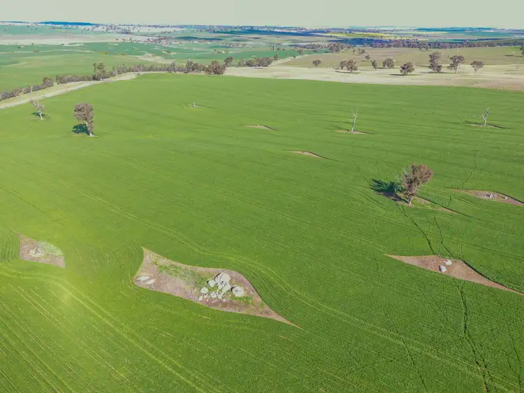 Third view of Homely rural property listing, 00 Currawong Rd, Young NSW 2594