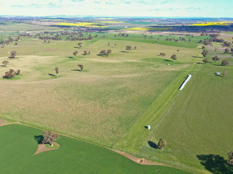 Fourth view of Homely rural property listing, 00 Currawong Rd, Young NSW 2594