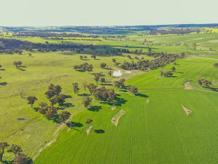 Fifth view of Homely rural property listing, 00 Currawong Rd, Young NSW 2594