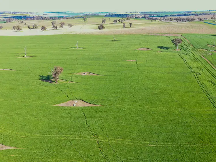 Sixth view of Homely rural property listing, 00 Currawong Rd, Young NSW 2594