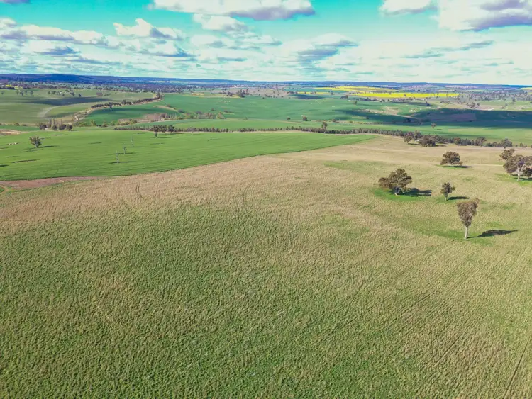 Seventh view of Homely rural property listing, 00 Currawong Rd, Young NSW 2594