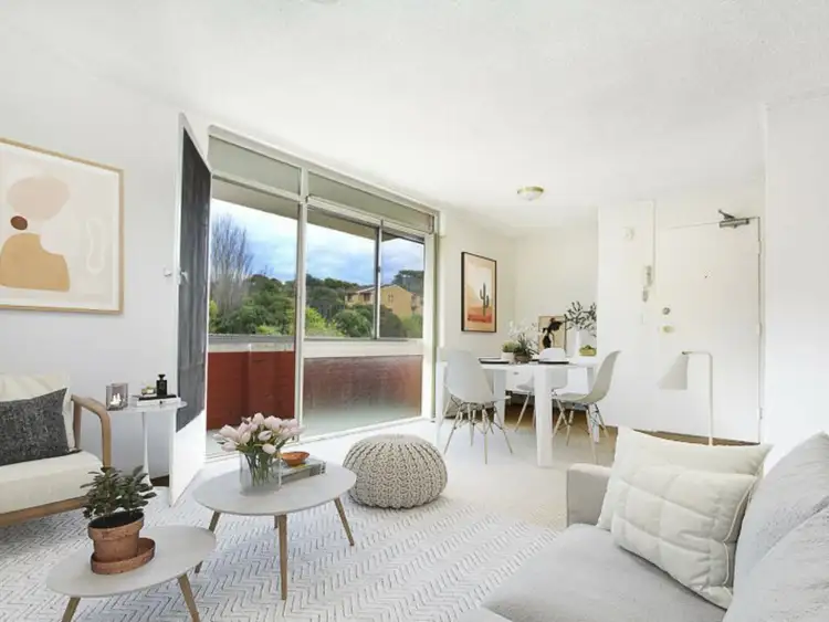 3/17 Payne Street
