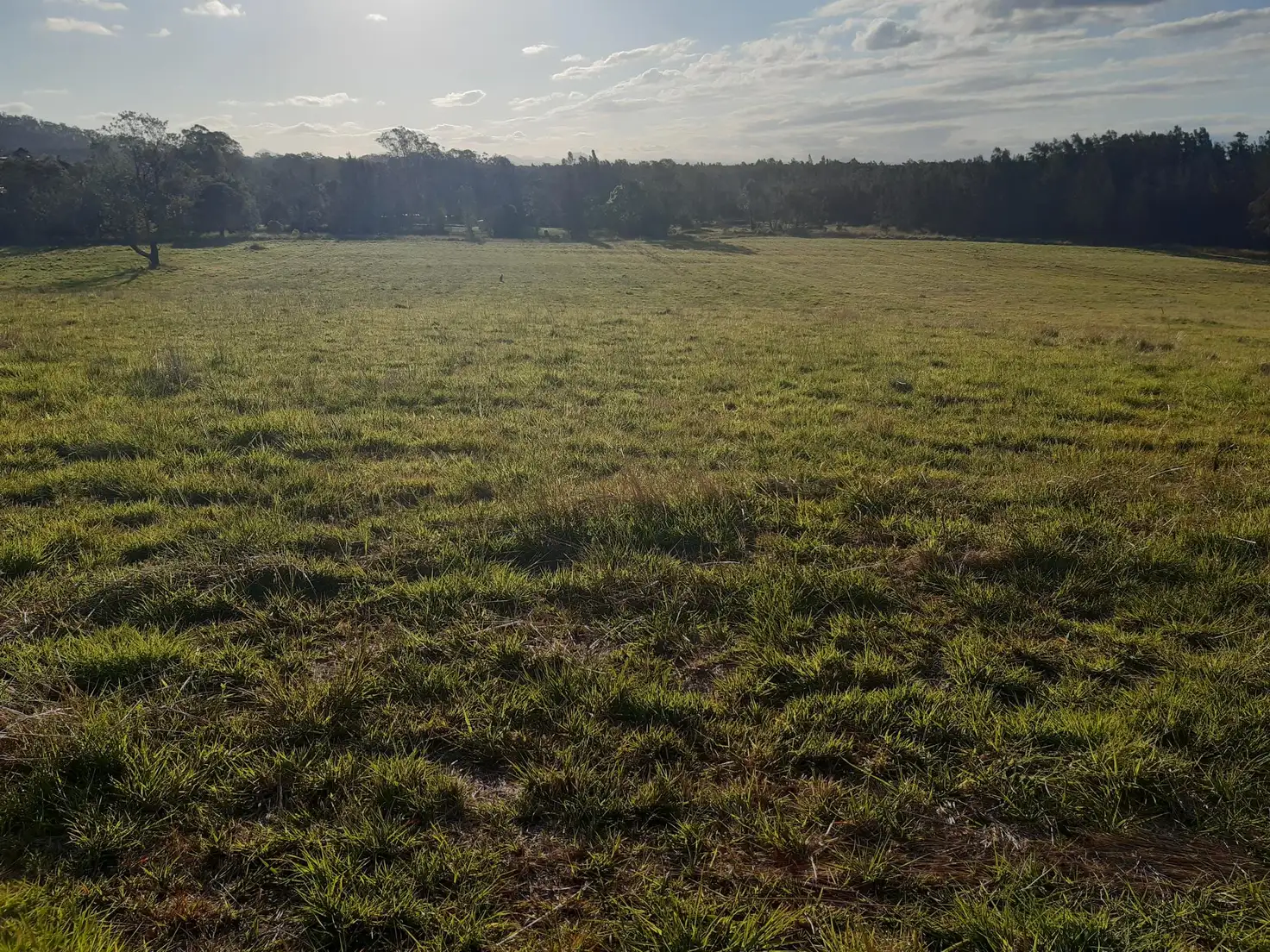 Main view of Homely land listing, Proposed L Part of 662 Gumma Road, Gumma NSW 2447