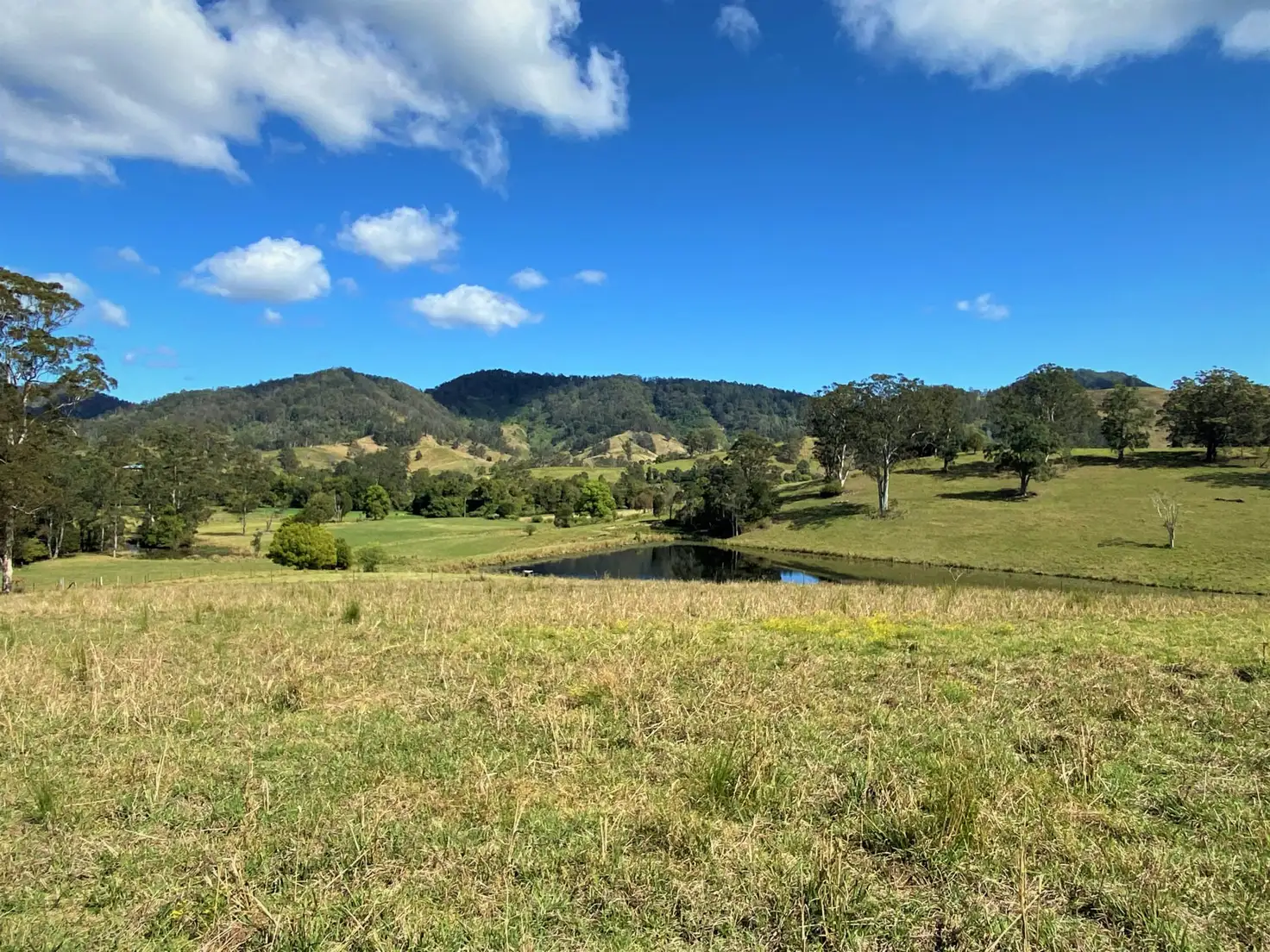 Main view of Homely rural property listing, Lot 8 Alfred Road, Killabakh NSW 2429