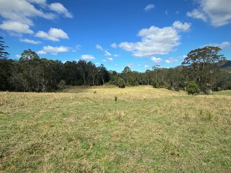 Fourth view of Homely rural property listing, Lot 8 Alfred Road, Killabakh NSW 2429
