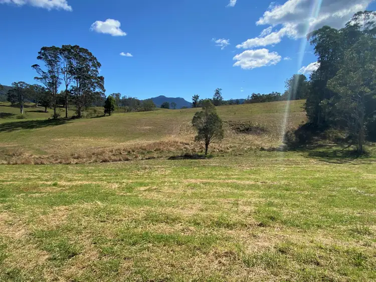 Fifth view of Homely rural property listing, Lot 8 Alfred Road, Killabakh NSW 2429