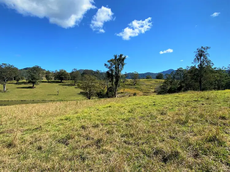 Seventh view of Homely rural property listing, Lot 8 Alfred Road, Killabakh NSW 2429