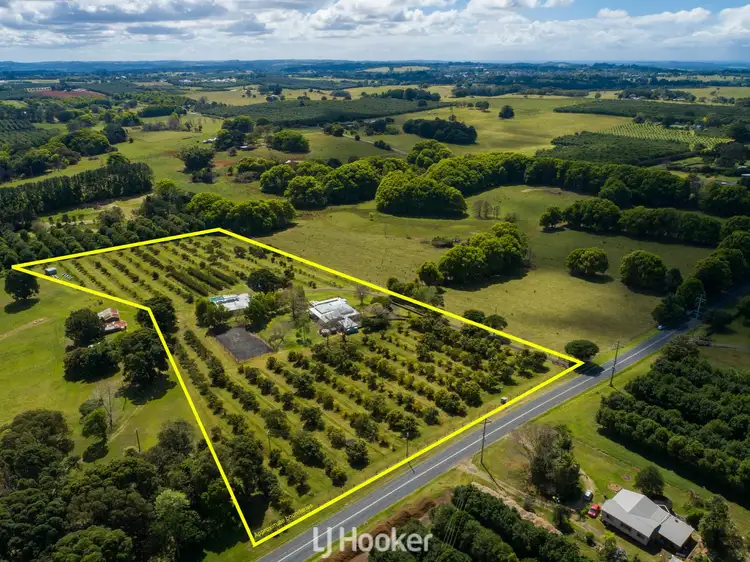 Second view of Homely rural property listing, 482 Ellis Road, Rous NSW 2477