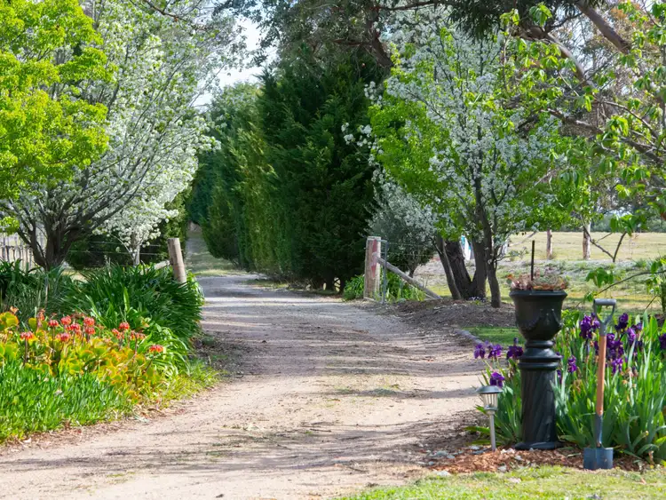 Third view of Homely rural property listing, 124 Bangadilly Road, Canyonleigh NSW 2577