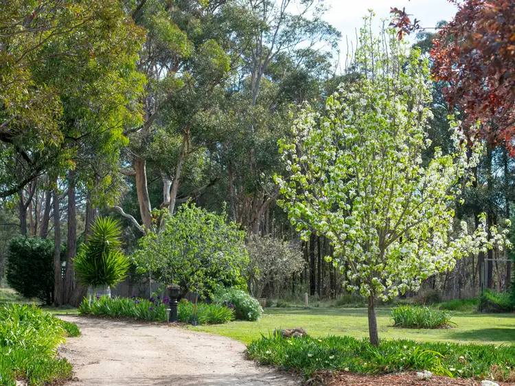 Fourth view of Homely rural property listing, 124 Bangadilly Road, Canyonleigh NSW 2577