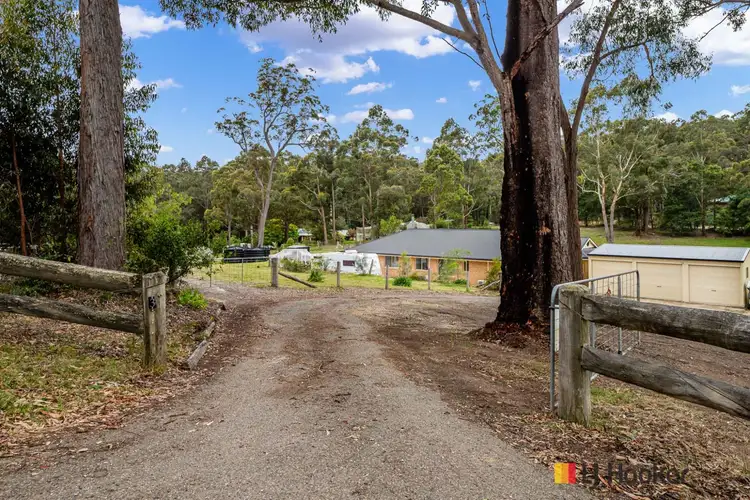 317 Cullendulla Drive, Long Beach NSW 2536