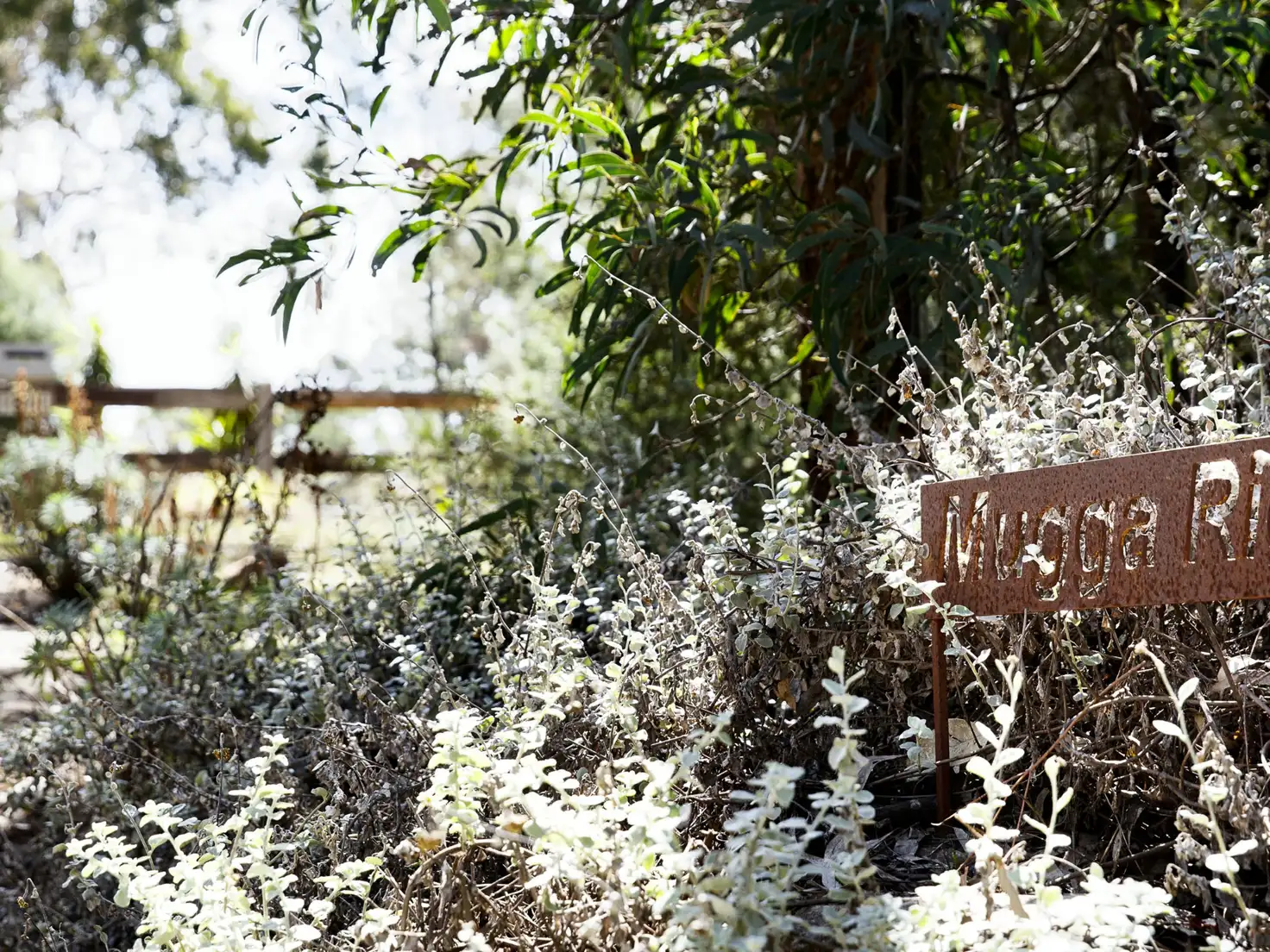 Main view of Homely rural property listing, 1811 Tugalong Road, Canyonleigh NSW 2577
