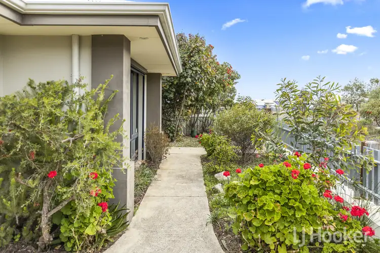 Fourth view of Homely house listing, 7 Camber Link, Alkimos WA 6038