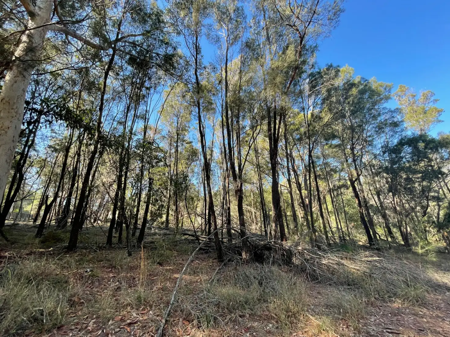 Main view of Homely land listing, 21 Delmar pde, Russell Island QLD 4184