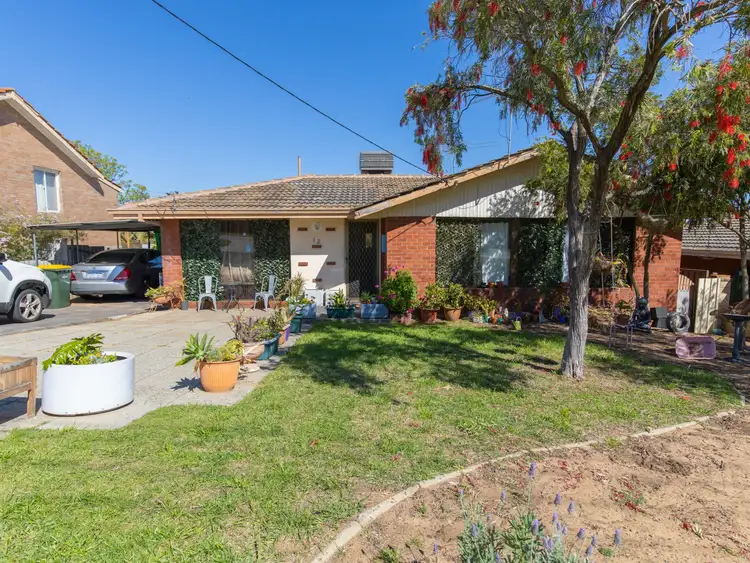 Second view of Homely house listing, 12 Jecks Place, Orelia WA 6167