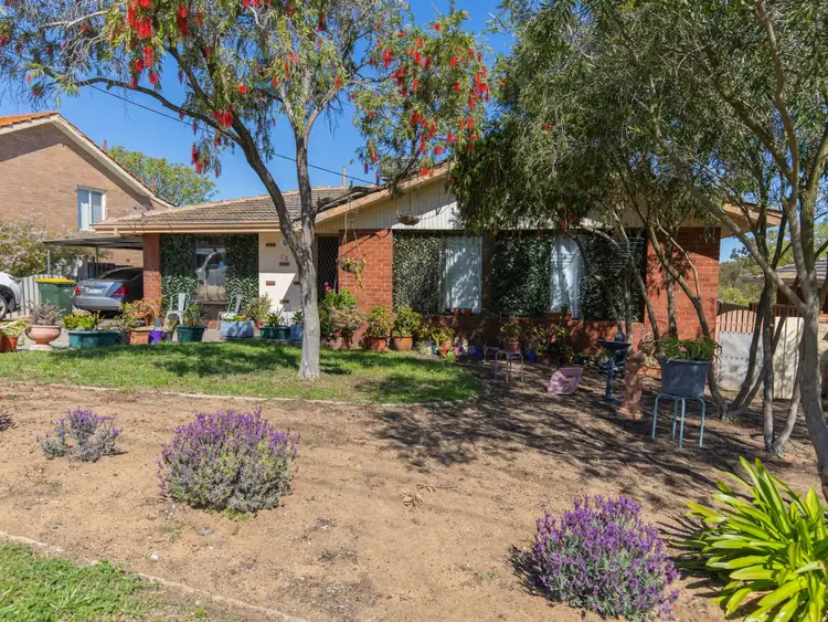 Third view of Homely house listing, 12 Jecks Place, Orelia WA 6167