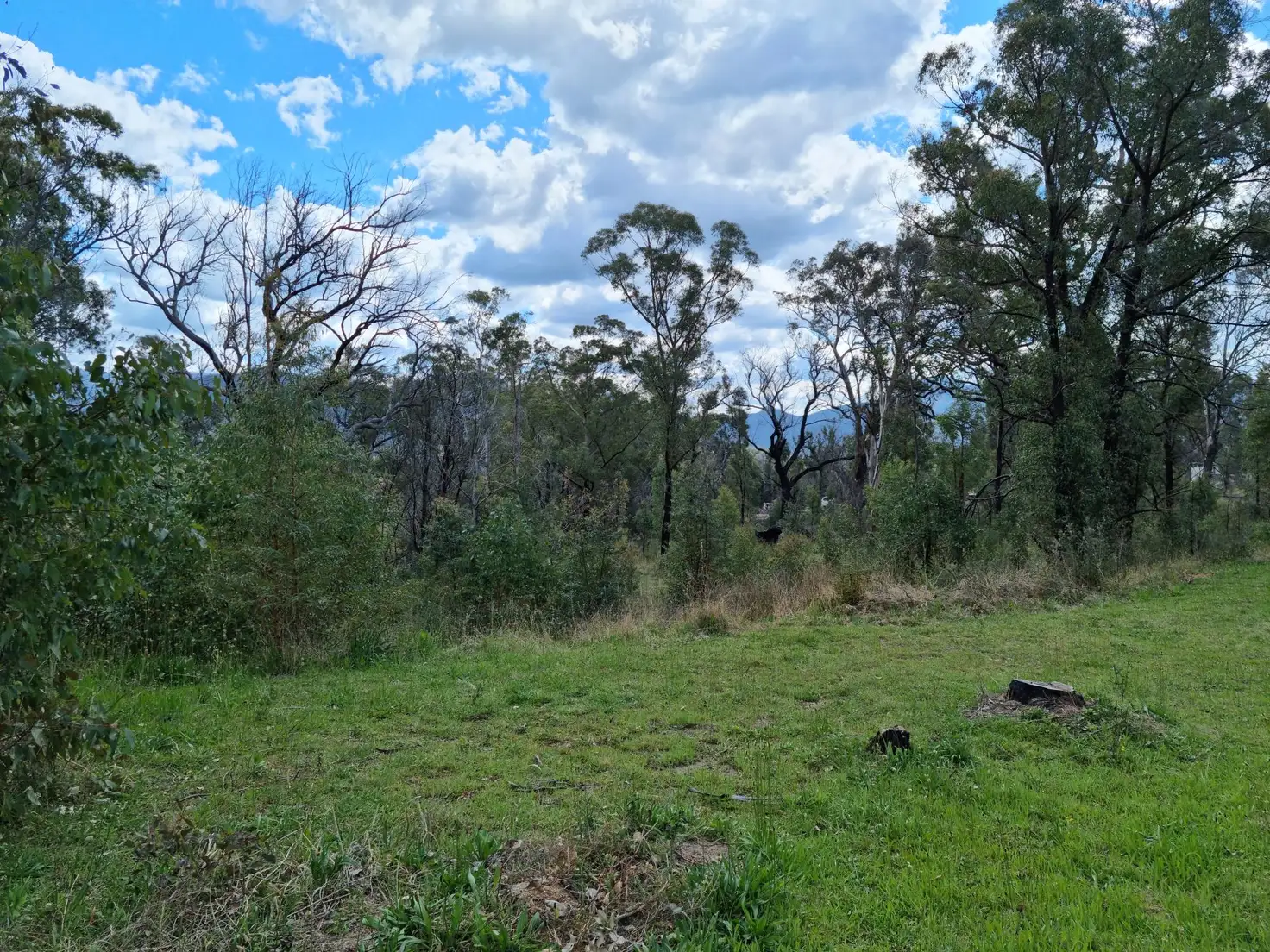 Main view of Homely land listing, Lot 22 Yankees Gap Road, Bemboka NSW 2550