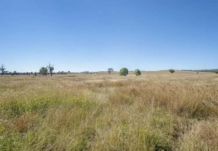 Third view of Homely rural property listing, Lot 27 Tuites Lane, Biarra QLD 4313
