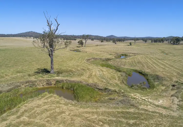 Seventh view of Homely rural property listing, Lot 1 Morden Road, Biarra QLD 4313