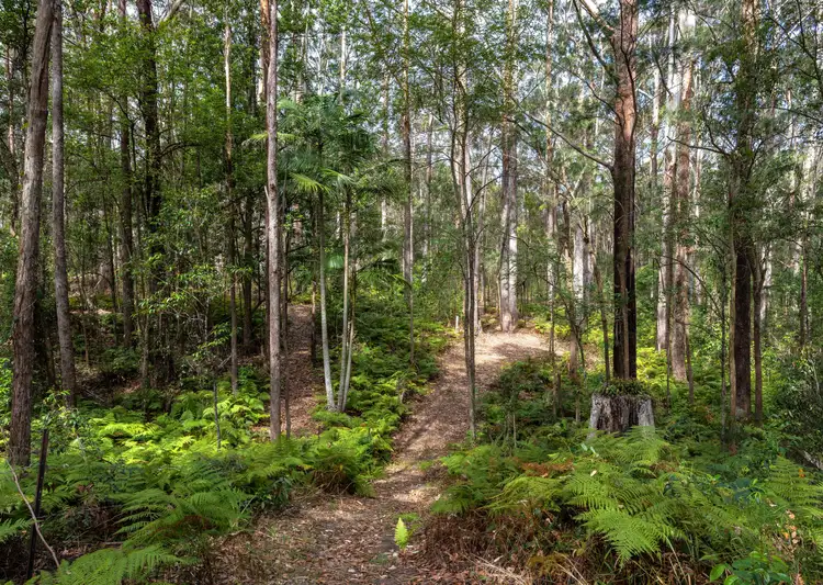 Second view of Homely rural property listing, 13 Rainforest Drive, Mitchells Island NSW 2430