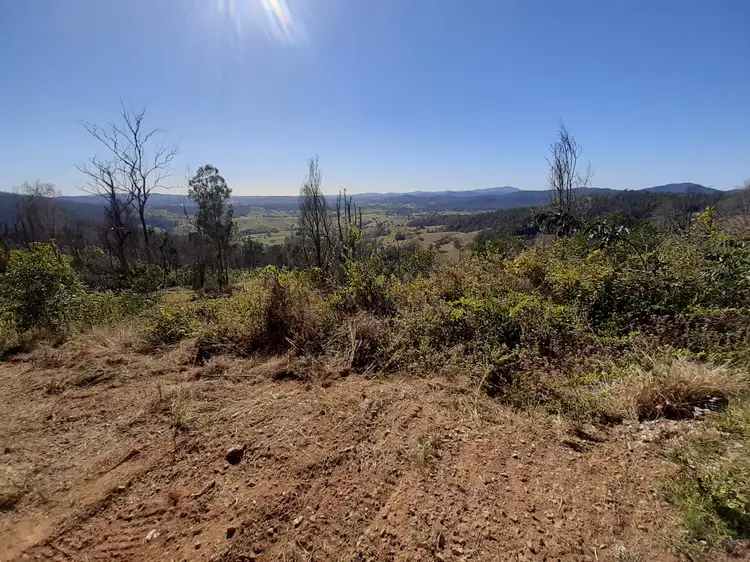Main view of Homely land listing, 323 Whip Mountain Road, Yarranbella NSW 2447