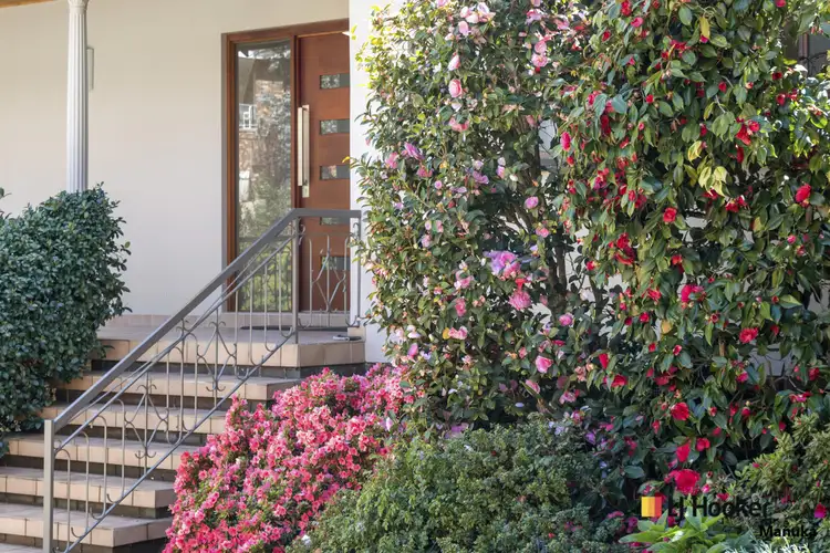 Third view of Homely house listing, 15 Steinwedel Street, Farrer ACT 2607