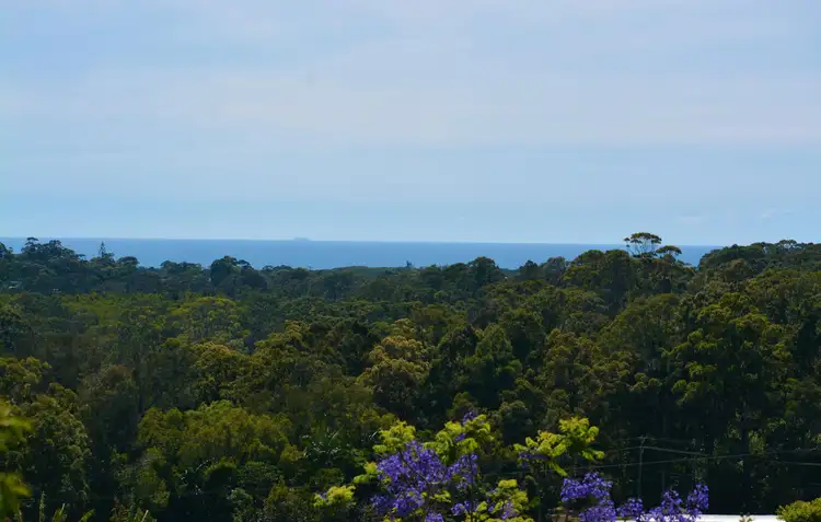 Main view of Homely house listing, 131 Johnsons Road, Sandy Beach NSW 2456